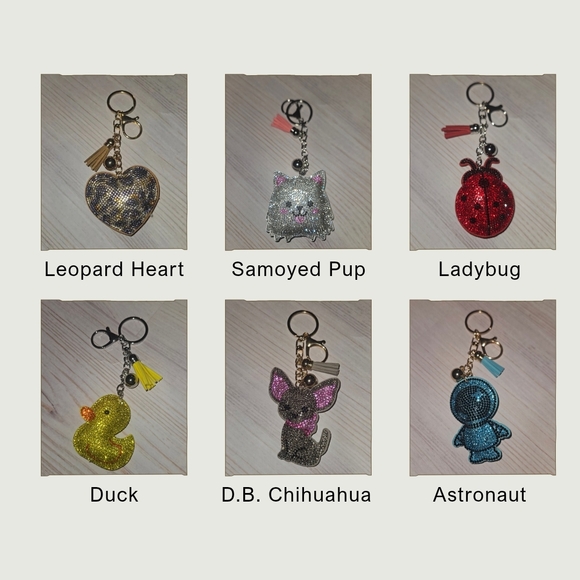 Key Chain - Picture 3 of 6